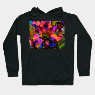 Floral Festival Hoodie